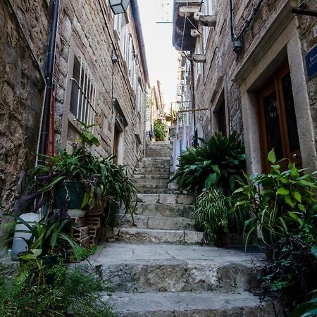 Apartments Minerva Dubrovnik Dış mekan fotoğraf
