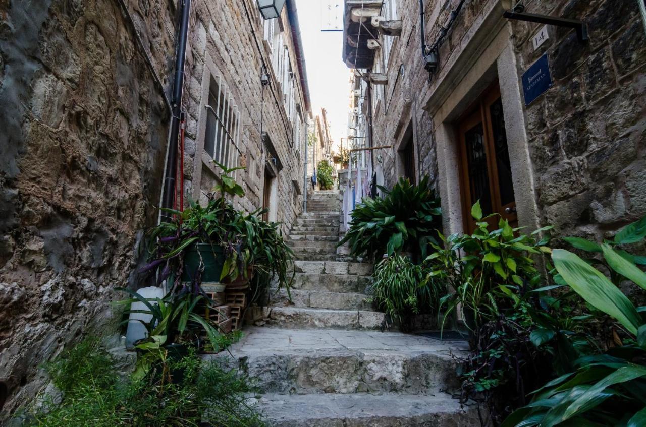 Apartments Minerva Dubrovnik Dış mekan fotoğraf